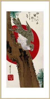 Plakát The Hawk & The Red Sun