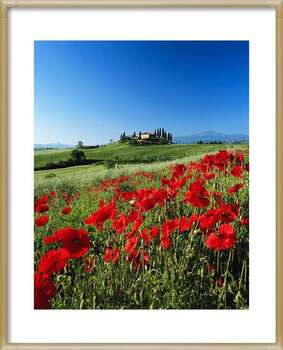 Plakát Italy, Tuscany, Val d'Orcia, farmhouse on