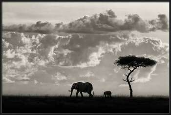 Plakát Silhouettes of Mara